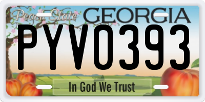 GA license plate PYV0393