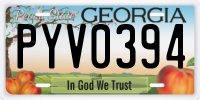 GA license plate PYV0394