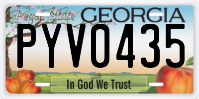GA license plate PYV0435