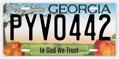 GA license plate PYV0442