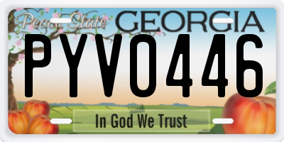GA license plate PYV0446