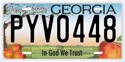 GA license plate PYV0448