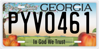 GA license plate PYV0461