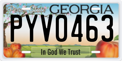 GA license plate PYV0463