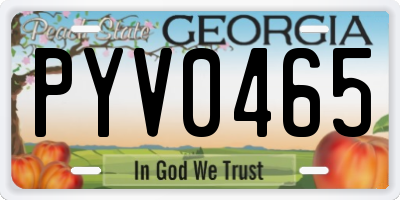 GA license plate PYV0465