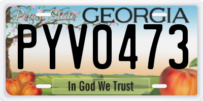 GA license plate PYV0473
