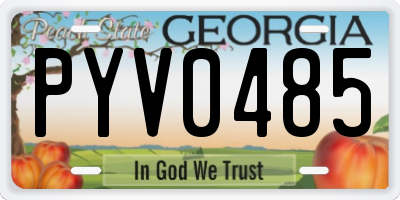 GA license plate PYV0485