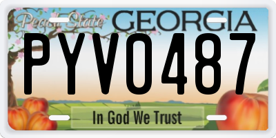 GA license plate PYV0487
