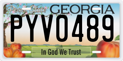 GA license plate PYV0489