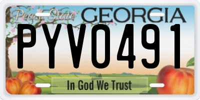 GA license plate PYV0491