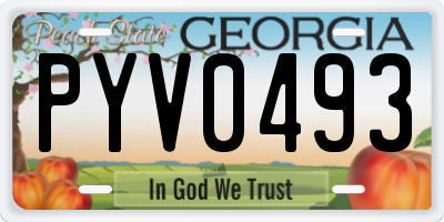 GA license plate PYV0493