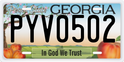 GA license plate PYV0502