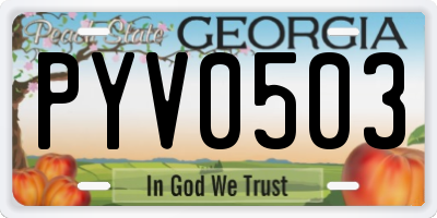 GA license plate PYV0503
