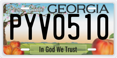 GA license plate PYV0510