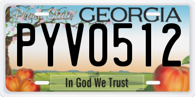 GA license plate PYV0512