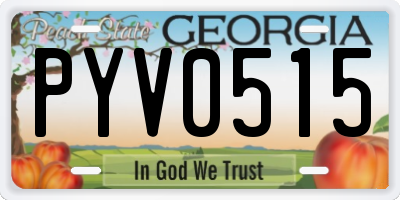 GA license plate PYV0515