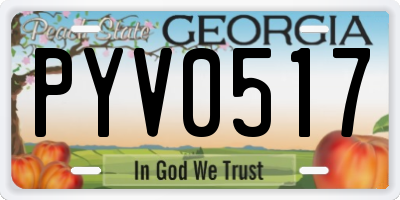 GA license plate PYV0517