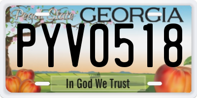 GA license plate PYV0518