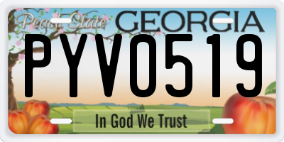 GA license plate PYV0519