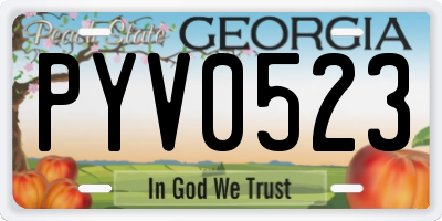 GA license plate PYV0523