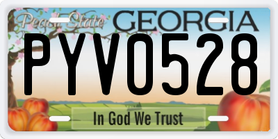 GA license plate PYV0528