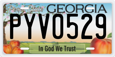 GA license plate PYV0529