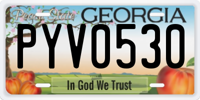 GA license plate PYV0530
