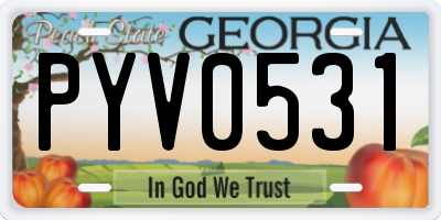 GA license plate PYV0531