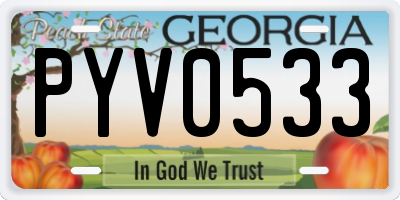 GA license plate PYV0533