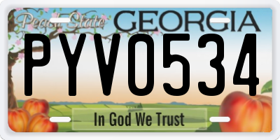 GA license plate PYV0534