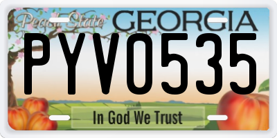 GA license plate PYV0535