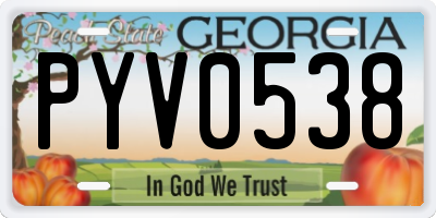 GA license plate PYV0538