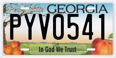 GA license plate PYV0541