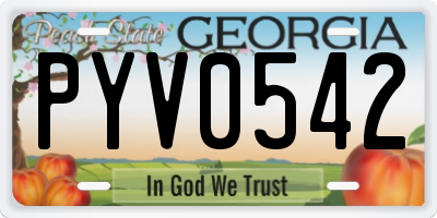 GA license plate PYV0542
