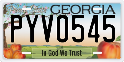 GA license plate PYV0545