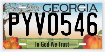 GA license plate PYV0546