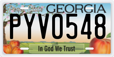 GA license plate PYV0548