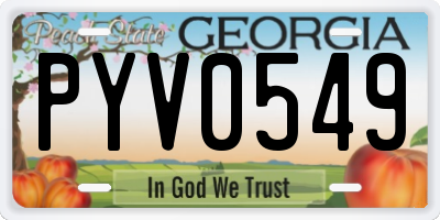 GA license plate PYV0549