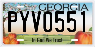 GA license plate PYV0551