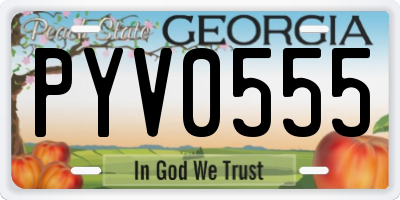 GA license plate PYV0555