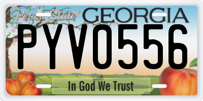GA license plate PYV0556