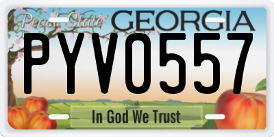 GA license plate PYV0557