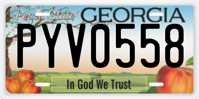 GA license plate PYV0558