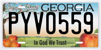 GA license plate PYV0559