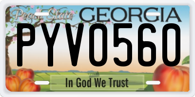 GA license plate PYV0560