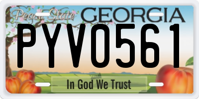 GA license plate PYV0561