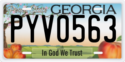 GA license plate PYV0563