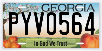 GA license plate PYV0564