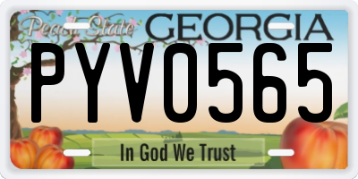 GA license plate PYV0565