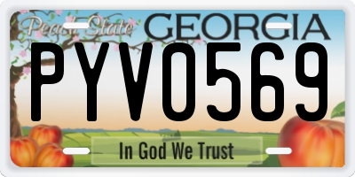 GA license plate PYV0569